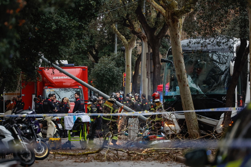 Barcelona bus crash leaves dozens injured 