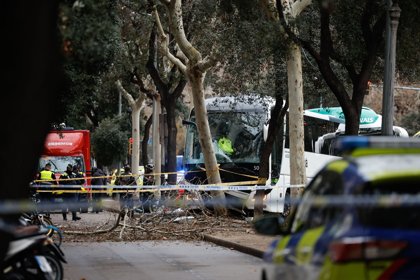 Barcelona bus crash leaves dozens injured 