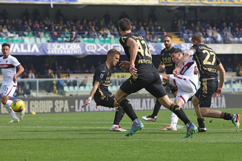 Soccer: Serie A; Hellas Verona FC vs Bologna Fc