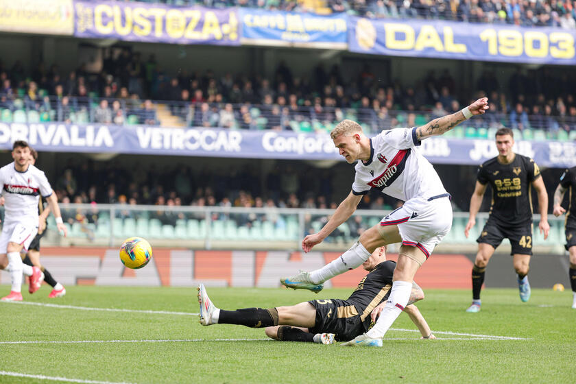 Soccer: Serie A; Hellas Verona FC vs Bologna Fc