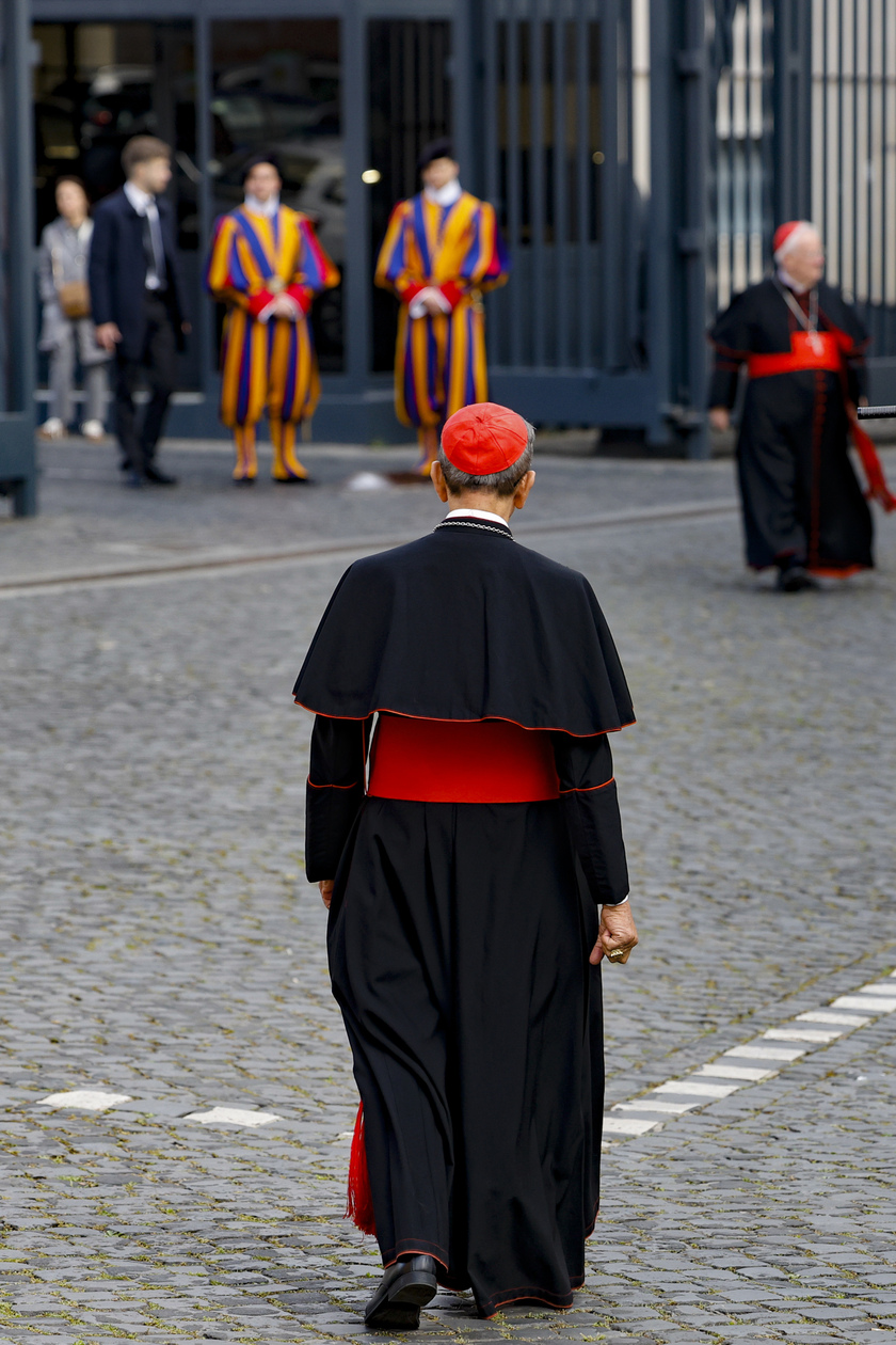 Cardinals hold fifth general congregation after Pope Francis' death