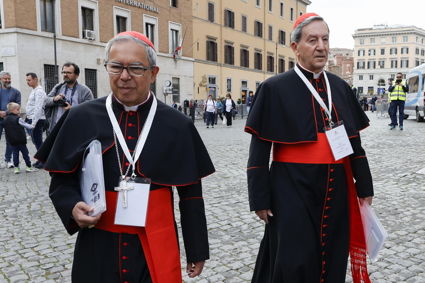 Cardinals continue general congregation after Pope Francis' death 