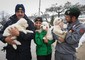 Un momento del ritrovamento dei tre cuccioli di pastore abruzzese, figli di Nuvola e Lupo, Rigopiano ANSA/ US/ SOCCORSO ALPINO SPELEOLOGICO © Ansa