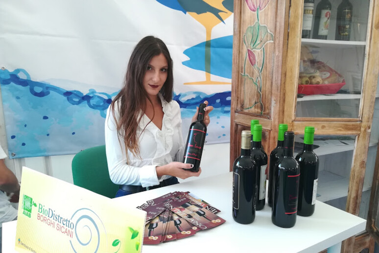 Lo stand del Bio-Distretto - RIPRODUZIONE RISERVATA