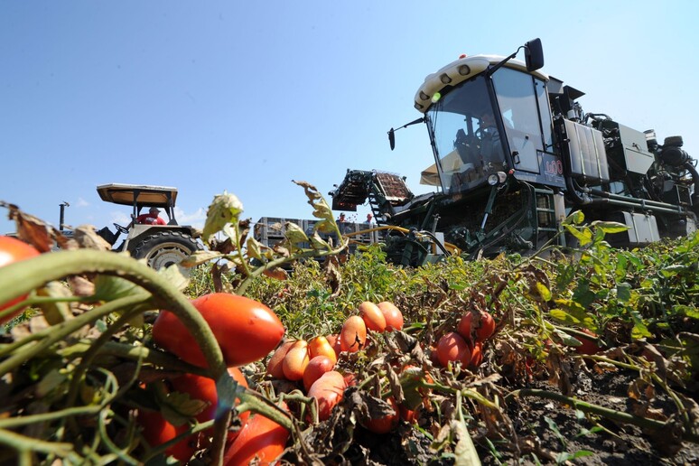 . - RIPRODUZIONE RISERVATA