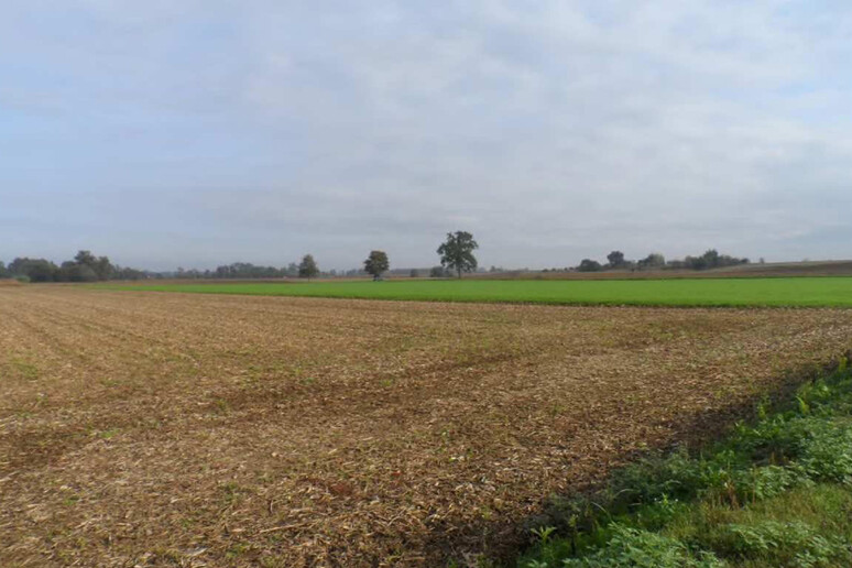 - RIPRODUZIONE RISERVATA