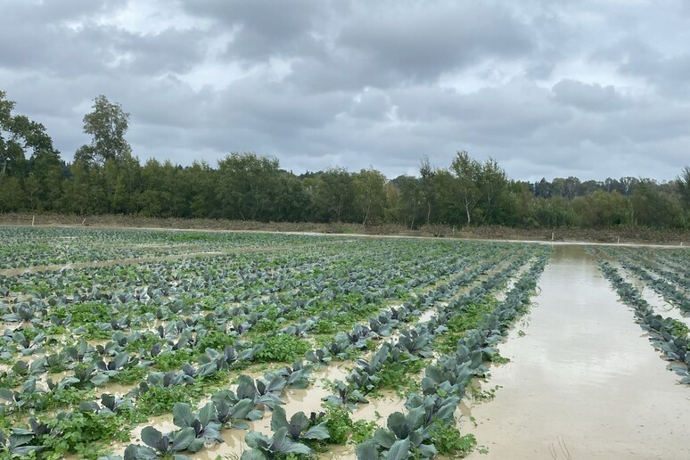 - RIPRODUZIONE RISERVATA