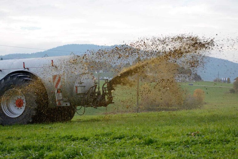 - RIPRODUZIONE RISERVATA