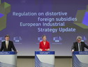 Newsletter ANSA Europa Sviluppo sostenibile e digitale - Numero 36 (ANSA)