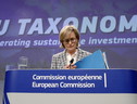 Newsletter ANSA Europa Sviluppo sostenibile e digitale - Numero 63 (ANSA)