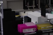 Conto alla rovescia per test d'immunita' nazionale