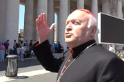 Conclave, il cardinale Nemet: 'Se c'e' unita'? Sempre, nello Spirito'