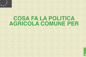 Cosa fa la politica agricola Ue per gli studenti? (ANSA)