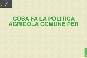 Cosa fa la politica agricola Ue per il paesaggio e le aree rurali? (ANSA)