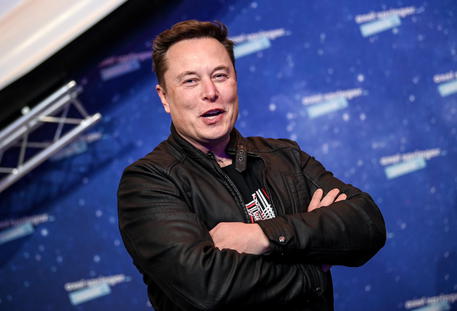 Esperimento di Musk, scimmia gioca ai videogame col pensiero © EPA