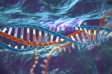 Rappresentazione artistica della forbice molecolare, ossia del sistema di difesa Crispr utilizzato dai batteri (fonte: McGovern Institute for Brain Research at MIT)