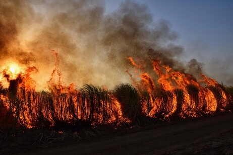 Il cambiamento climatico aumenta le morti causate dal fumo degli incendi (fonte: Pixabay)