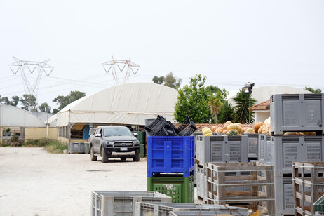 L'Azienda agricola Lovato dove lavorava Satnam Singh