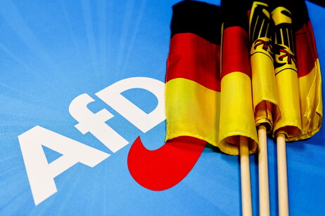 I servizi classificano Afd come destra estrema