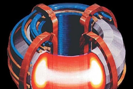 Rappresentazione grafica di un tokamak (fonte: U.S. Department of Energy, Public domain)