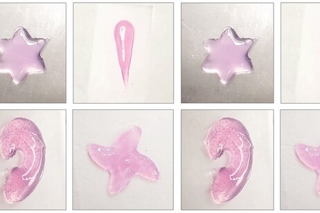 Esempi di strutture in idrogel stampate direttamente nell'organismo utilizzando gli ultrasuoni (fonte Elham Davoodi e Wei Gao/Caltech)