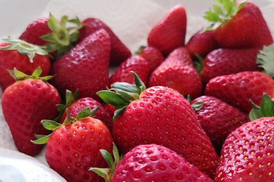 Packaging allunga fino a 12 giorni conservazione delle fragole
