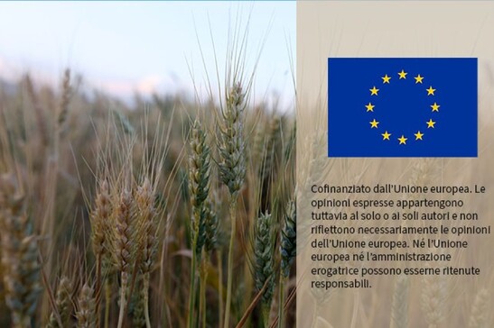 Dall'Ue impegno a sviluppare un mercato di bonus per l'ambiente
