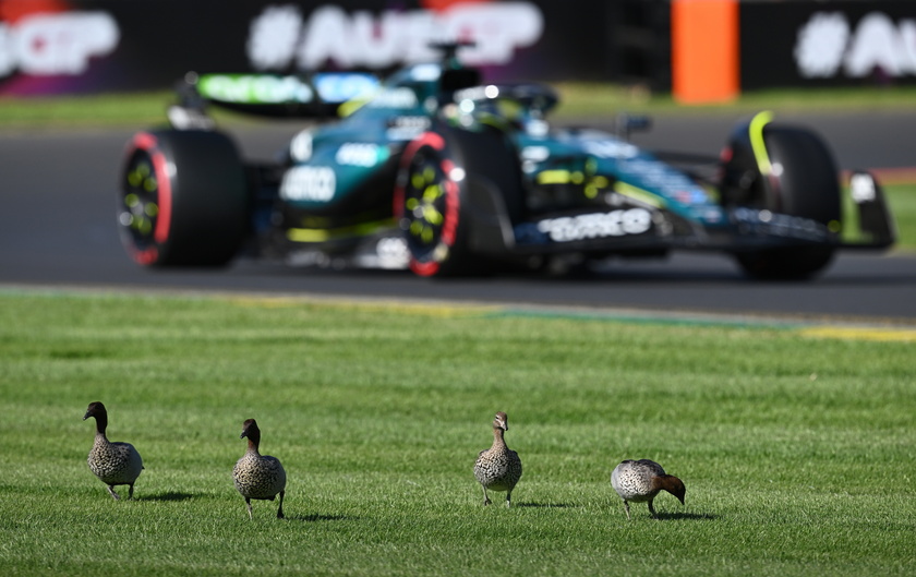 Formula One Australian Grand Prix - Practice and Qualifying - RIPRODUZIONE RISERVATA