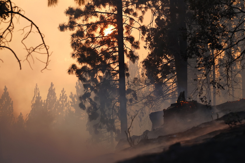 Park Fire in Butte County, California burns over 170,000 acres