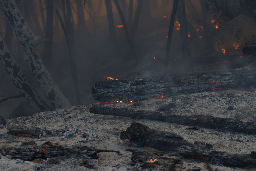 Park Fire in Butte County, California burns over 170,000 acres