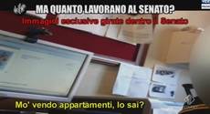 Fannulloni al Senato svelati dalle 'Iene'