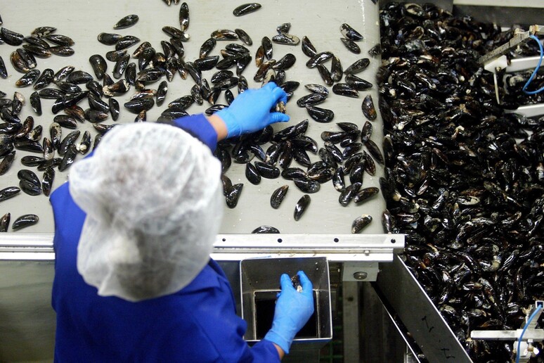 - RIPRODUZIONE RISERVATA