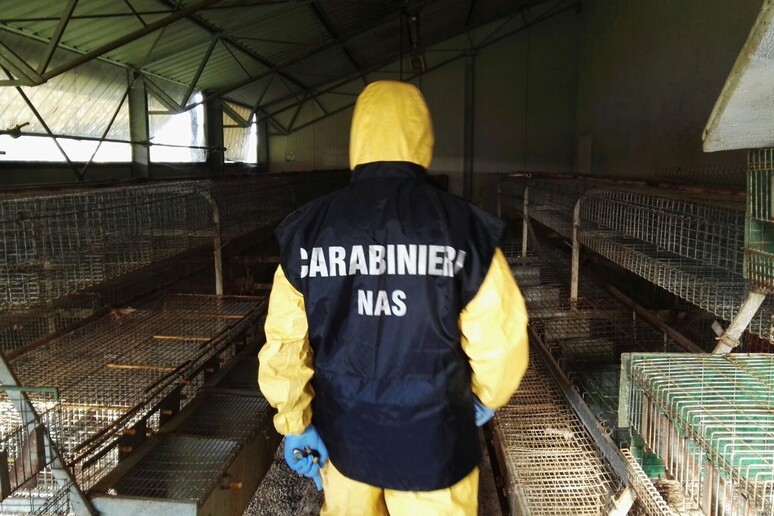 - RIPRODUZIONE RISERVATA