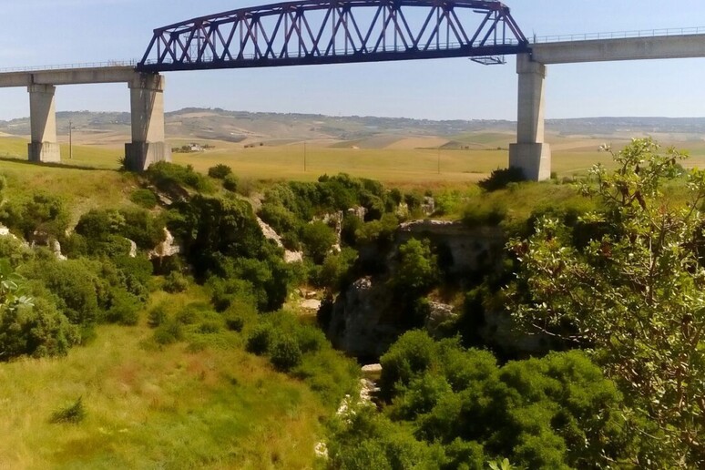- RIPRODUZIONE RISERVATA