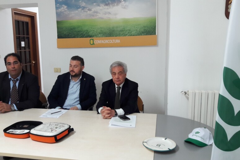 - RIPRODUZIONE RISERVATA