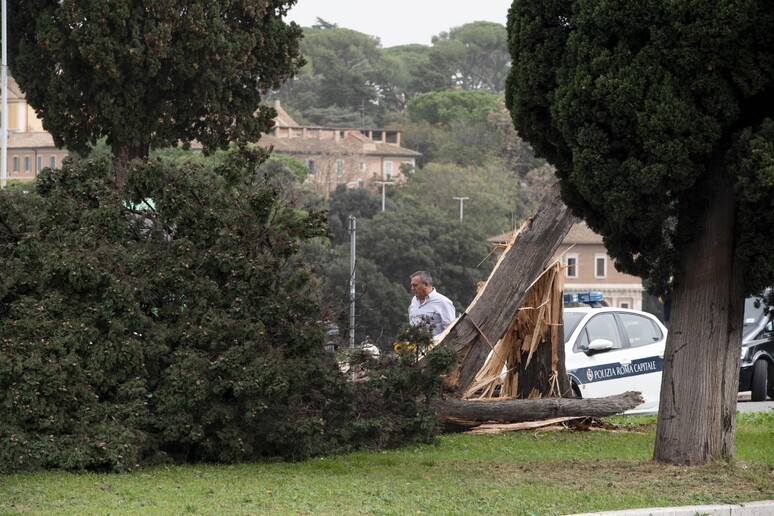 - RIPRODUZIONE RISERVATA