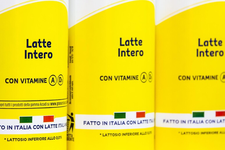 - RIPRODUZIONE RISERVATA