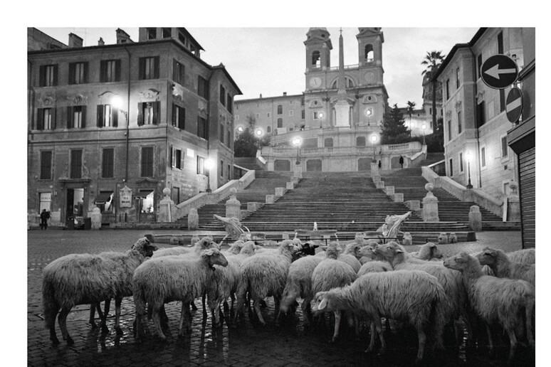 - RIPRODUZIONE RISERVATA