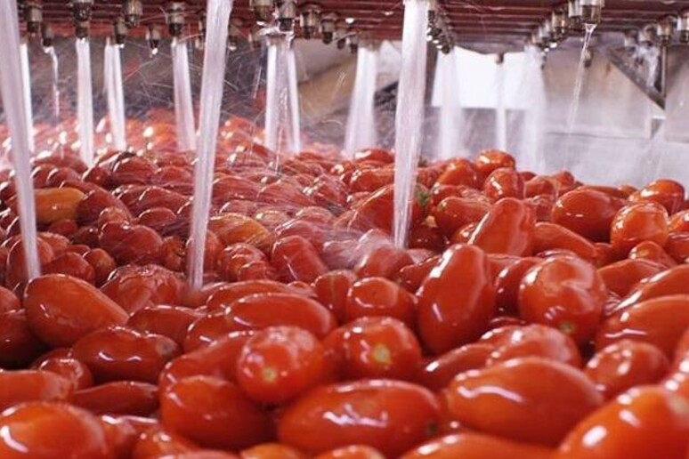 - RIPRODUZIONE RISERVATA