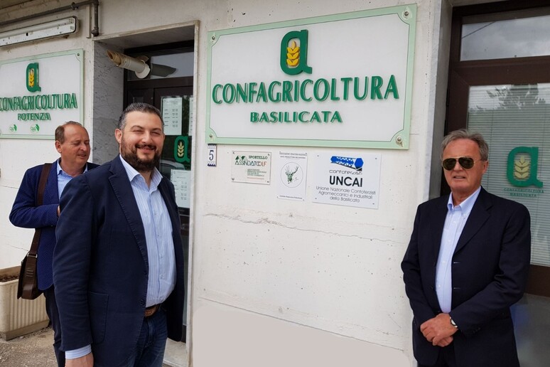 - RIPRODUZIONE RISERVATA