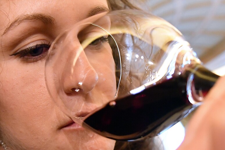 Degustazione vino rosso - RIPRODUZIONE RISERVATA