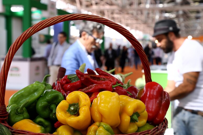 - RIPRODUZIONE RISERVATA