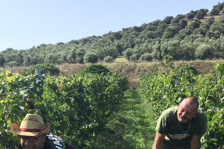 - RIPRODUZIONE RISERVATA