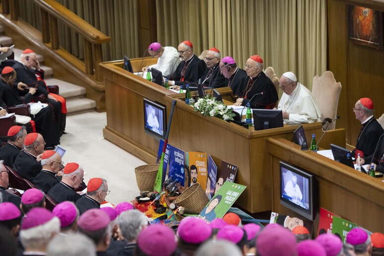Pope Francis Amazon synod at the Vatican - RIPRODUZIONE RISERVATA