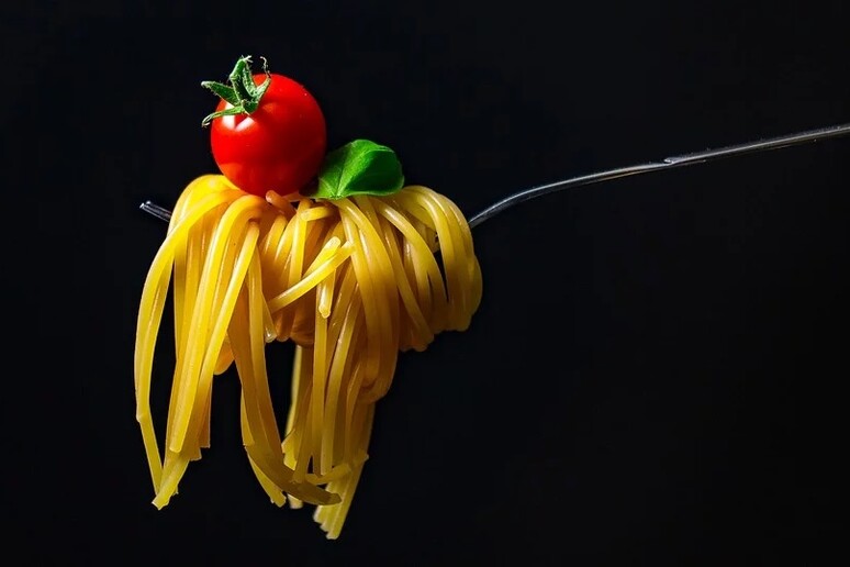 Spaghetti (fonte: Pixabay) - RIPRODUZIONE RISERVATA