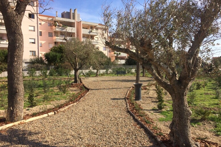- RIPRODUZIONE RISERVATA