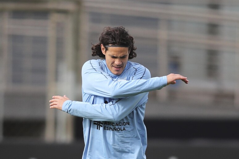 Edinson Cavani © ANSA/AP