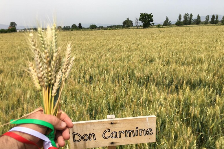 - RIPRODUZIONE RISERVATA