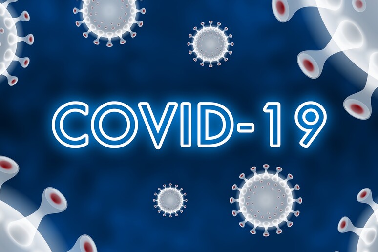 Nello speciale le analisi della pandemia condotte da fisici e matematici (fonte: iXimus/Pixabay) - RIPRODUZIONE RISERVATA
