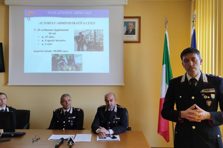 - RIPRODUZIONE RISERVATA